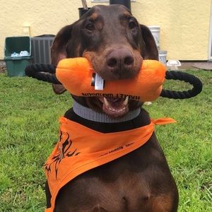 Meet your Posher, Danielle